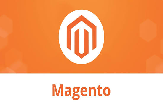I will make and customize magento extensions and websites