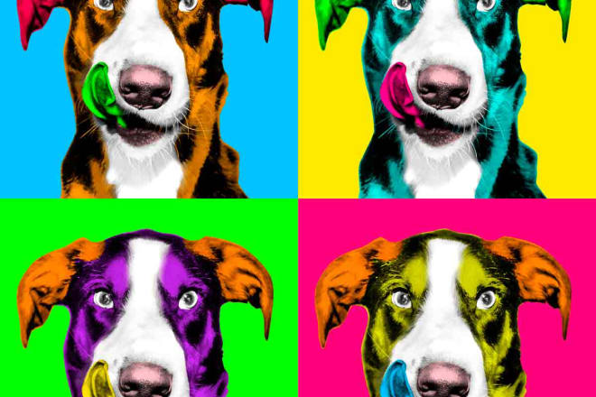 I will make pop art andy warhol of your pet within 24 hr