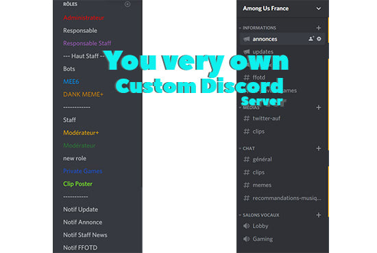 I will make professional discord server