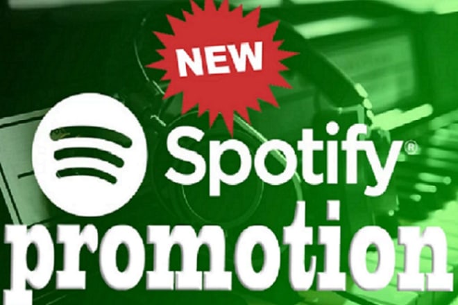 I will organically promote your song on spotify to UK music fans