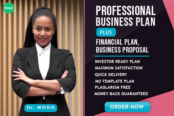 I will prepare financial model, business plan, projections and financial plan