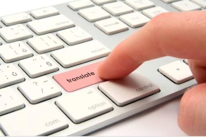 I will professionally translate hindi, english, german, punjabi