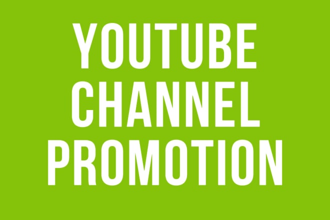 I will promote your youtube channel by our expert team