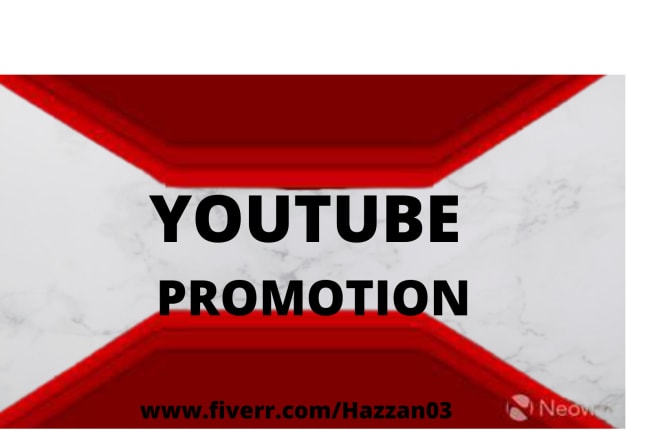 I will promote your youtube channel to active audience to increase subscribers