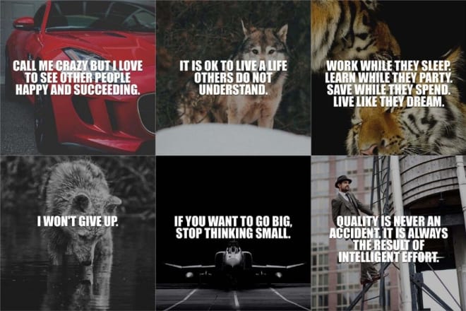 I will provide 999 business quotes for instagram with your logo