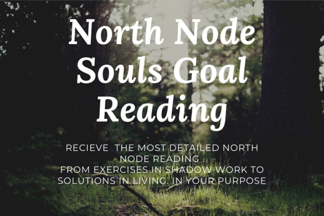 I will provide a full north node your soul goals reading via mp3
