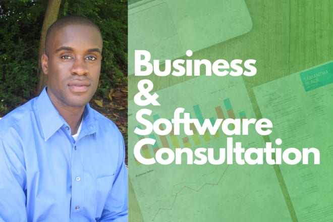 I will provide business and software consulting