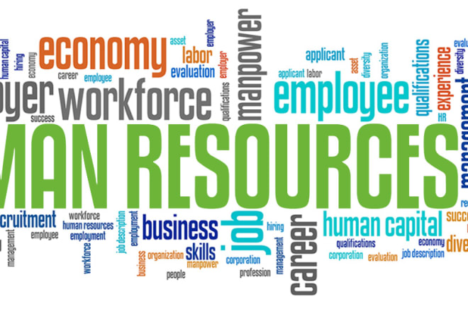 I will provide services related to HR consulting and recruitment