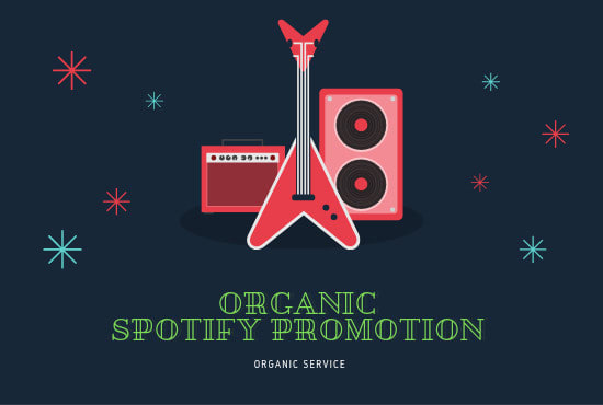 I will run instagram and fb ads to promote your music on spotify
