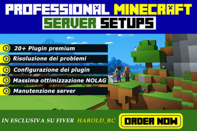 I will server minecraft, teamspeak e gestion vps ita eng pluginner