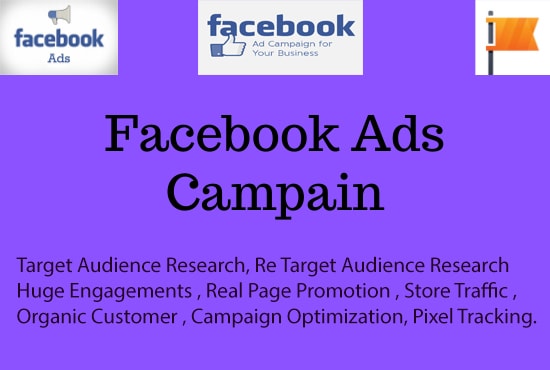 I will set up dynamic face book ads campaign and organic optimize