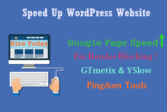 I will speed up wordpress website and eliminate render blocking js