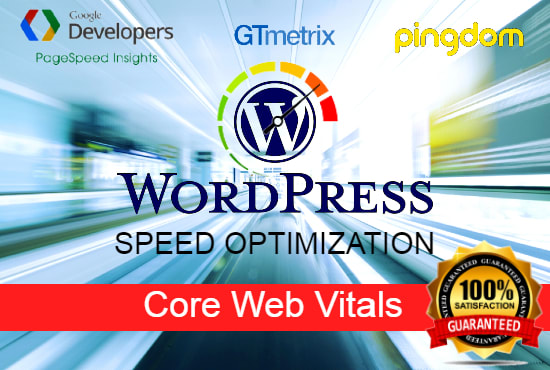 I will speed up wordpress website with optimizing core web vitals