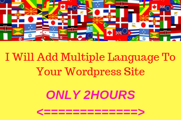 I will translate wordpress website into multi language