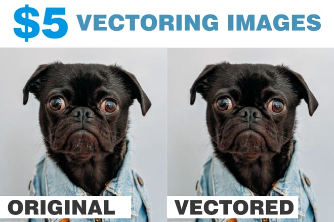 I will vector photo using auto trace