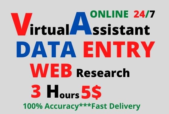 I will be your 3 hours virtual assistant for data entry, web research analyst