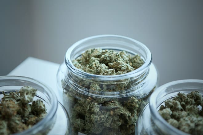 I will be your cannabis weed hemp marijuana book writer