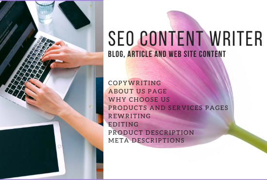 I will be your content writer for the article, blog, and web