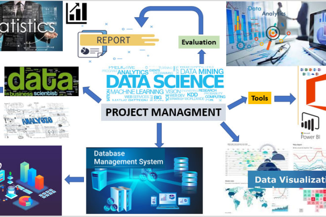 I will be your data analysis, reports and project managing expert