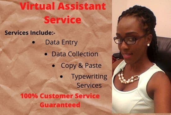 I will be your virtual assistant for data entry