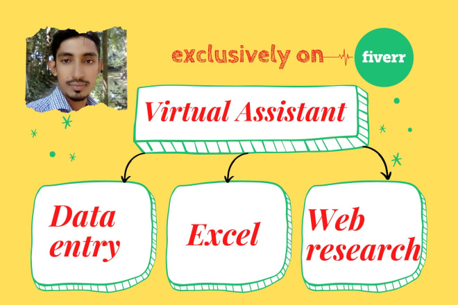 I will be your virtual assistant for data entry and web research