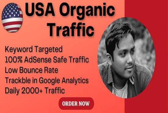 I will bring google adsense safe USA organic targeted web traffic