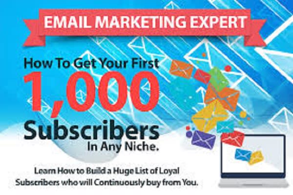 I will build audience based on any niche and country for email marketing
