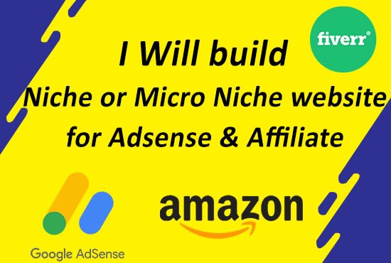 I will build niche or micro niche website for adsense or affiliate