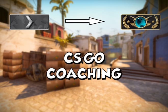 I will coach you basic and intermediate skills in csgo