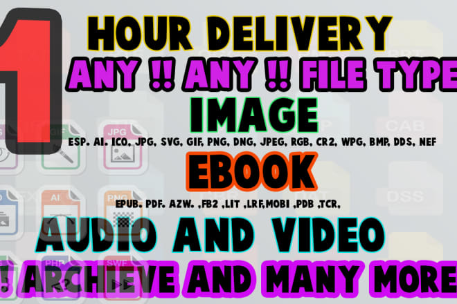 I will convert any file type to any type of your need within 1hr