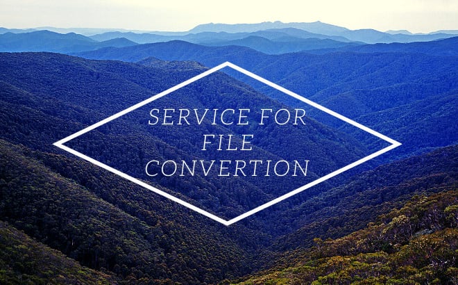 I will convert, create, word excel document online, PDF form
