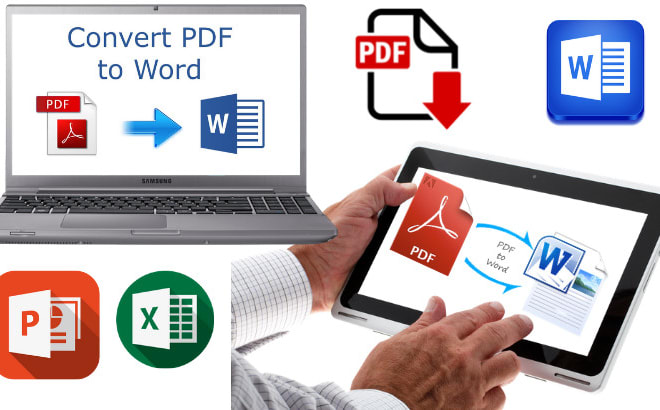 I will convert pdf to word or excel