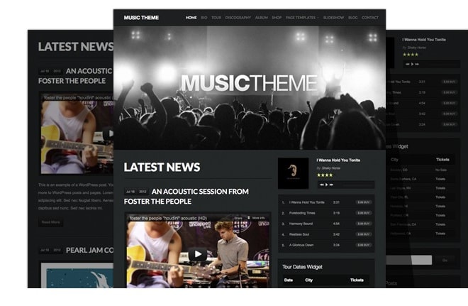 I will create a professional music website for musicians, dj, art studio