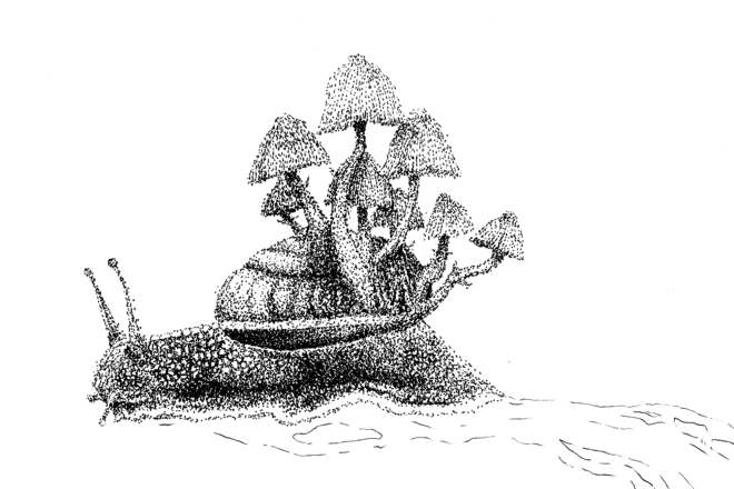 I will create a simple stippled critter in 24hrs