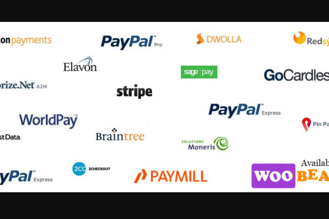 I will create bitcoin payment getaway, paypal, payment gatway