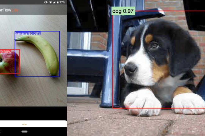 I will create custom object detection app or webapp