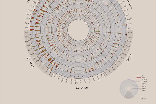 I will create exciting informative infographics