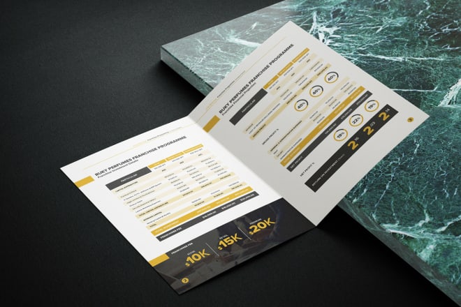 I will create high end and professional brochure designs