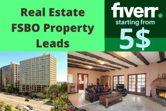 I will create real estate fsbo leads