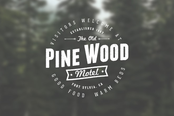 I will create retro vintage logo design