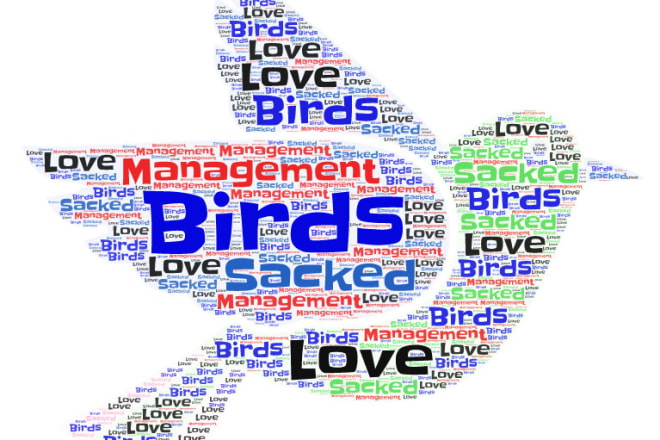 I will create word cloud art designs