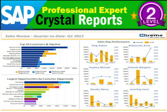 I will create,design and fix issues in your crystal reports saps
