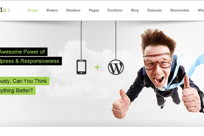 I will customize wordpress premium theme