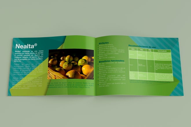 I will design a flyer for your business