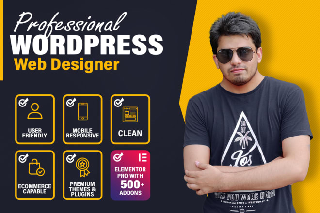 I will design a professional wordpress website or blog