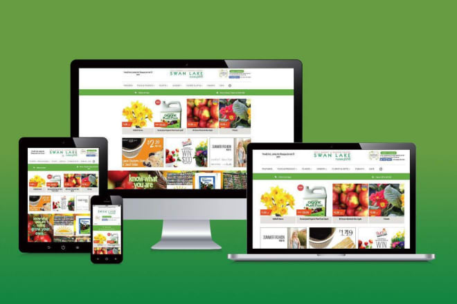 I will design and develop professional wordpress website