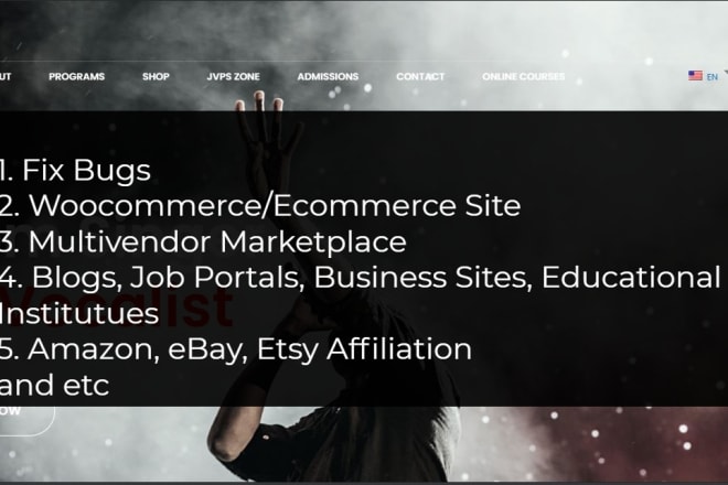 I will design ecommerce and multivendor wordpress site