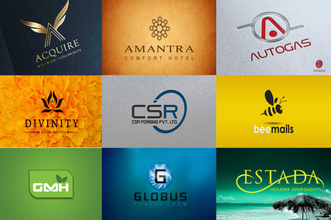 I will design professional entrepreneur logo