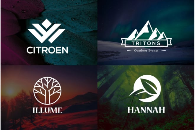 I will design versatile minimalist business logo with copyrights