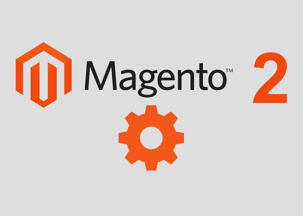 I will develop a premium magento store